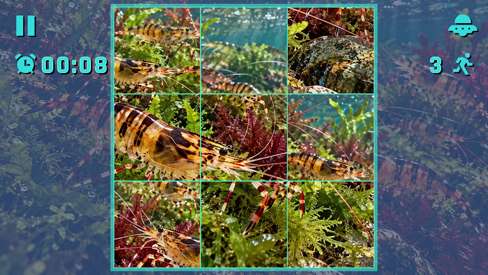 Puzzle Crustaceans screenshot 5