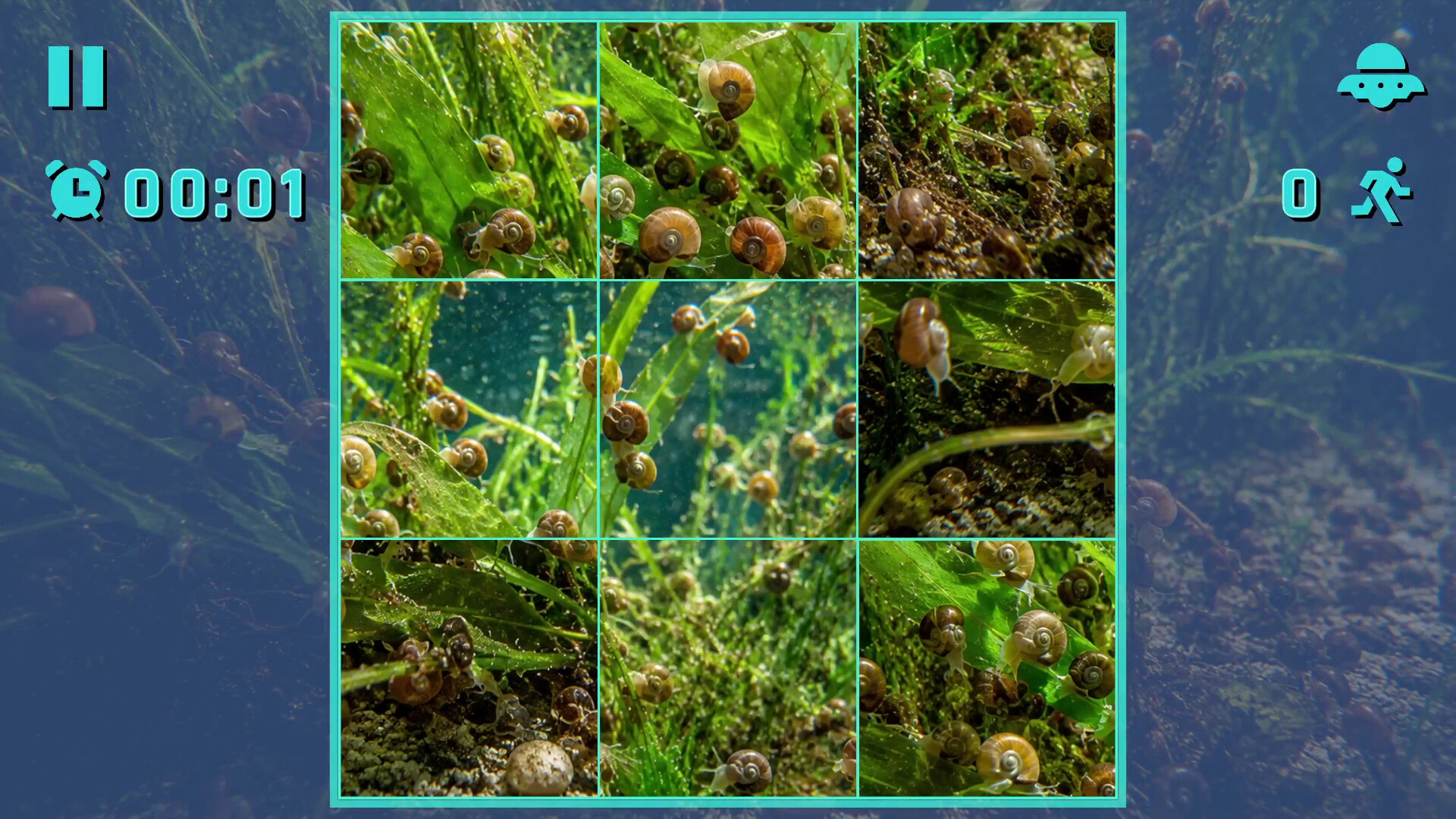 Puzzle Mollusks screenshot 2