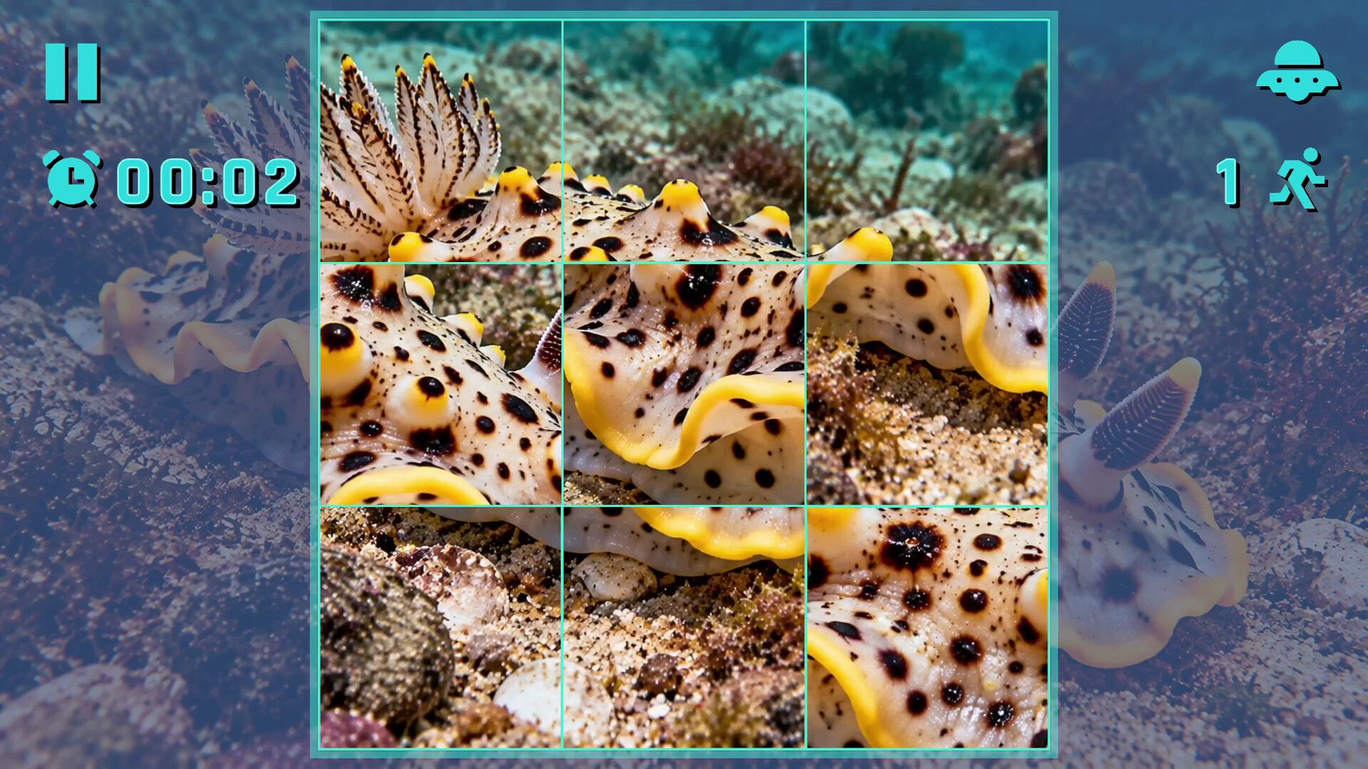Puzzle Mollusks screenshot 4