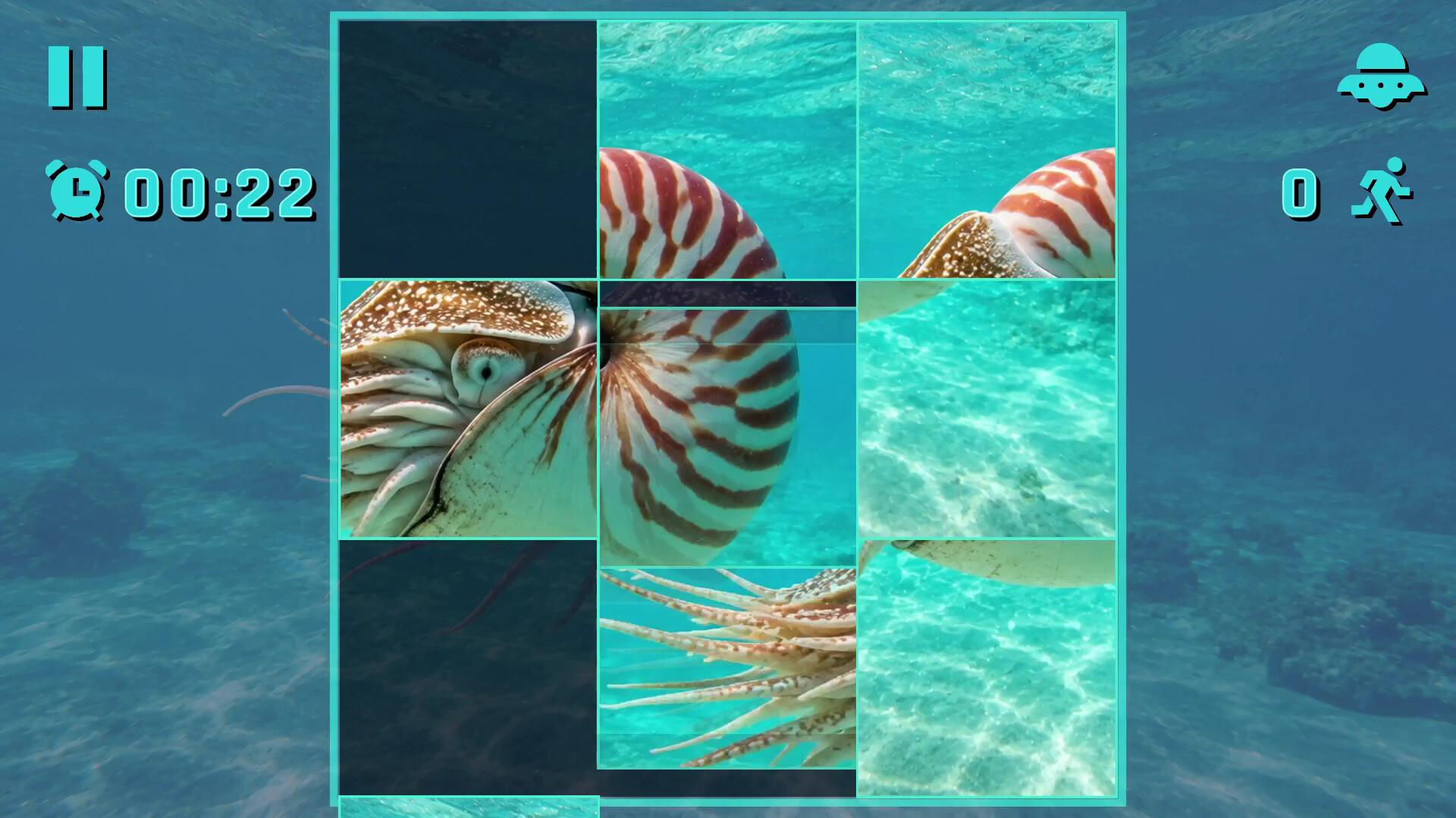 Puzzle Mollusks trailer