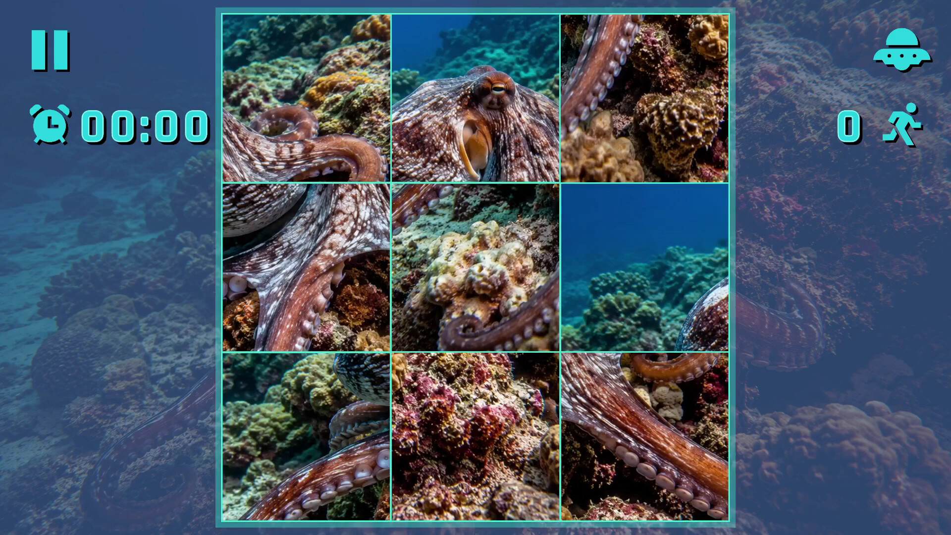 Puzzle Mollusks screenshot 3