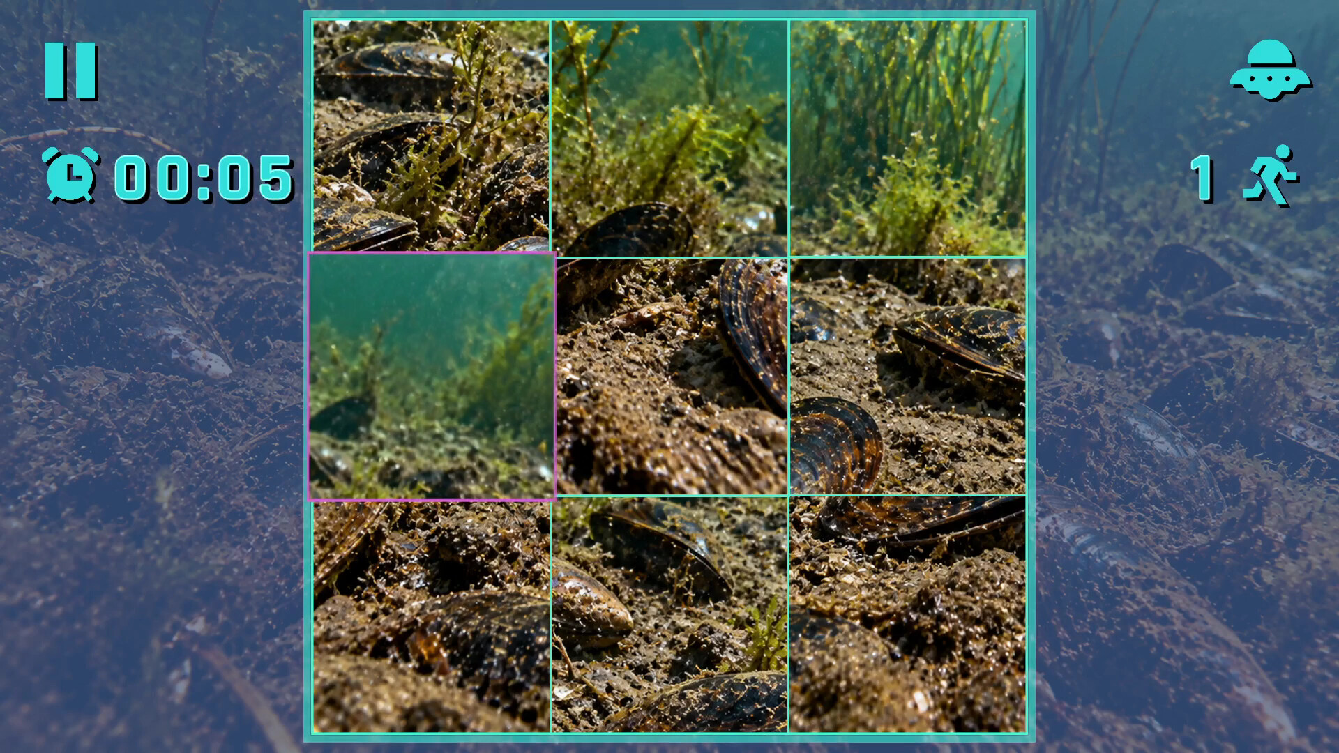 Puzzle Mollusks screenshot 5
