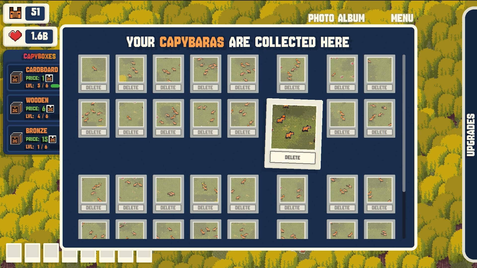 CapyCam screenshot 4