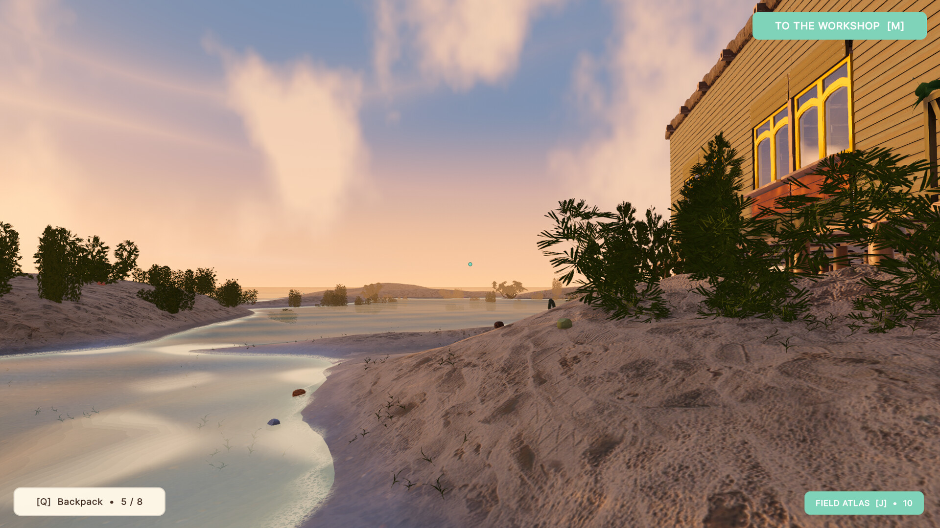Pet Rock Workshop screenshot 5