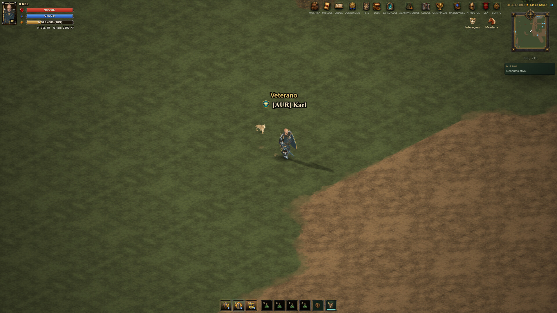 Arena Medieval screenshot 3