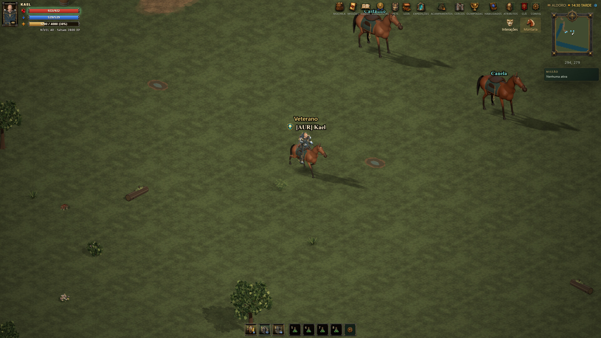 Arena Medieval screenshot 2