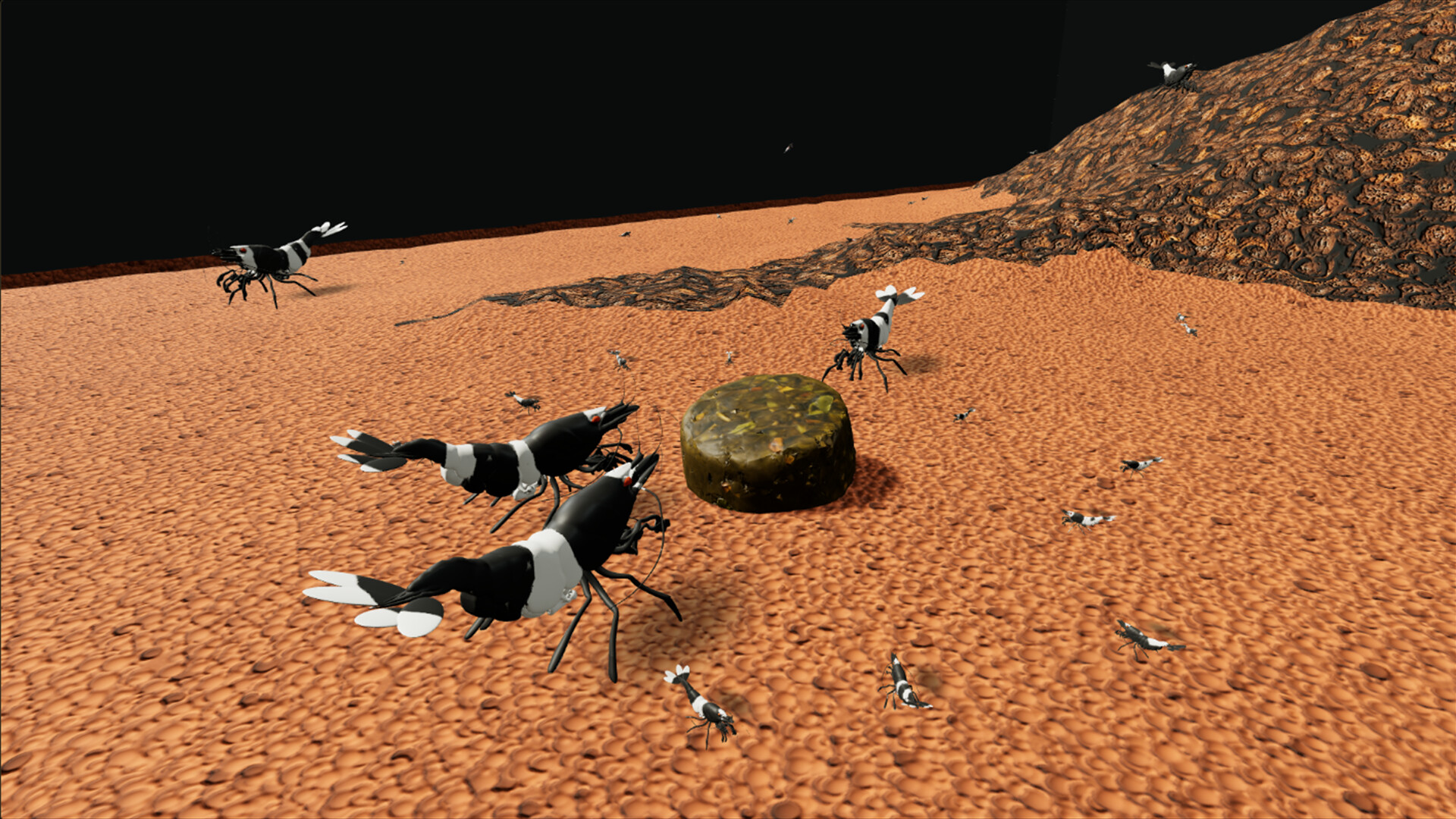 Shrimpscape screenshot 2