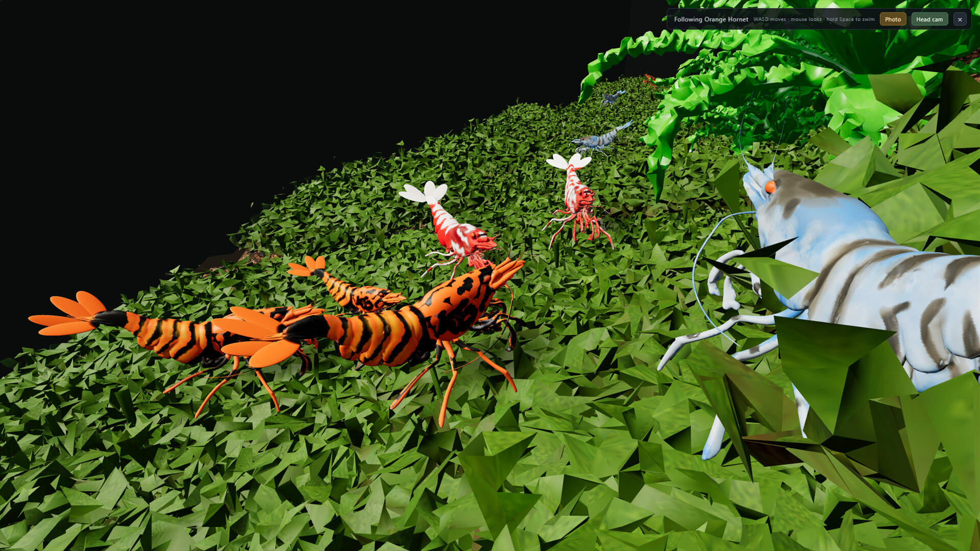 Shrimpscape screenshot 4
