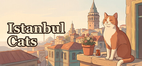 Cover art from Istanbul Cats