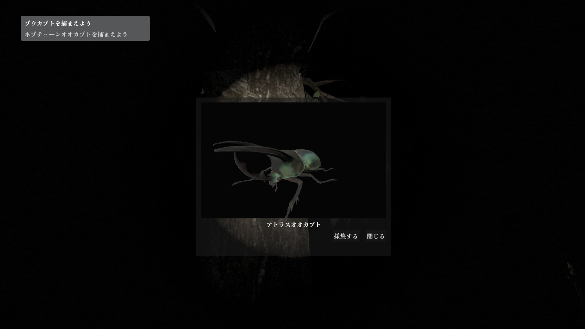 カブトムシの森 screenshot 5