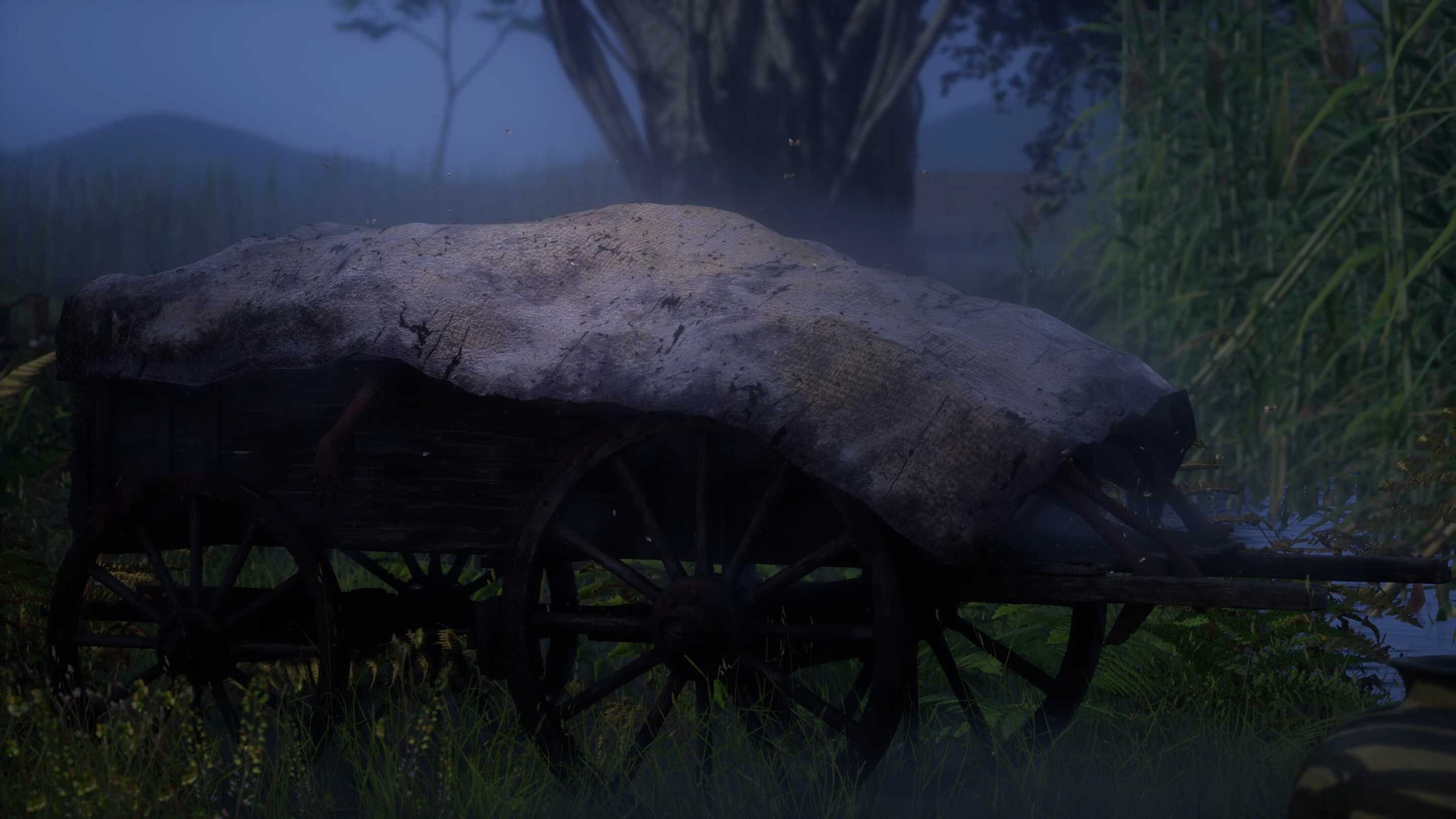 August Star | Sao tháng Tám screenshot 2
