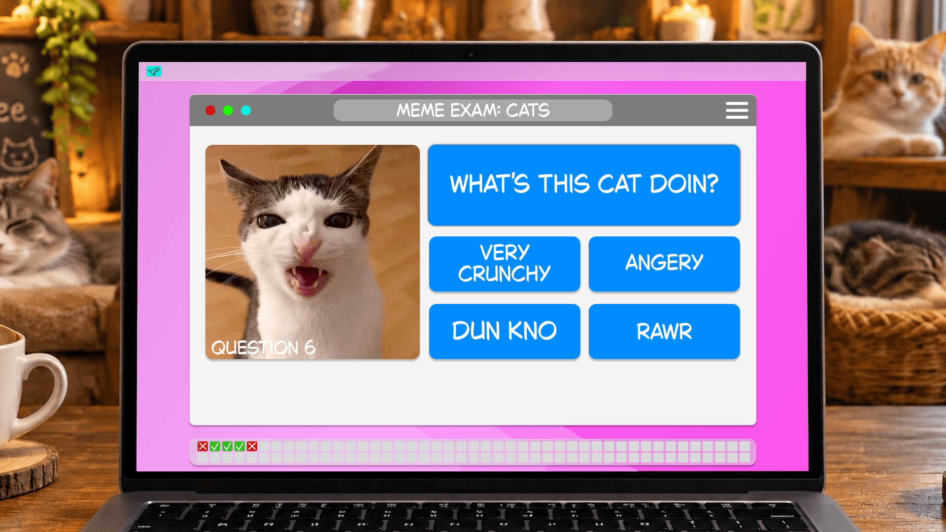 Meme Exam: Cats screenshot 5