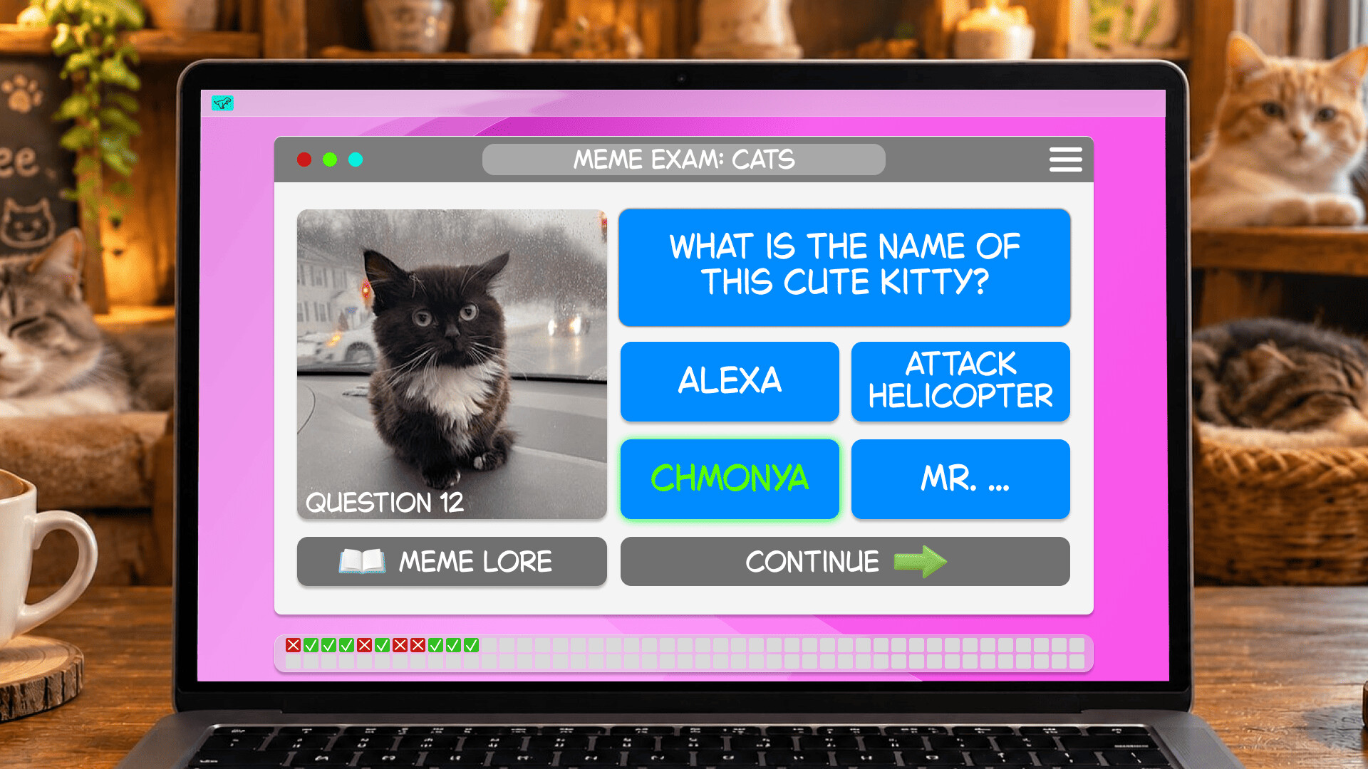 Meme Exam: Cats screenshot 2