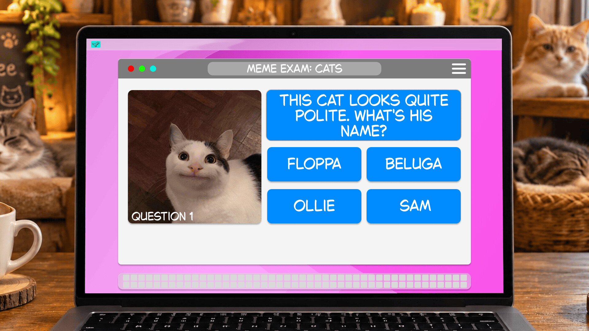 Meme Exam: Cats screenshot 3