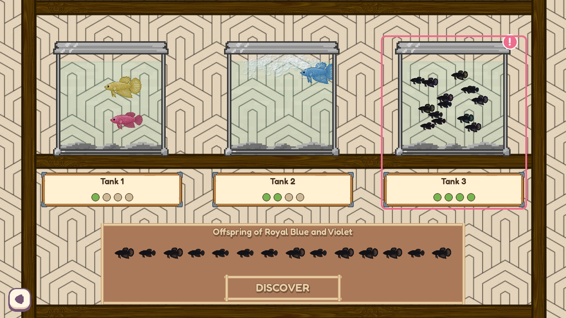 Little Bettas screenshot 3