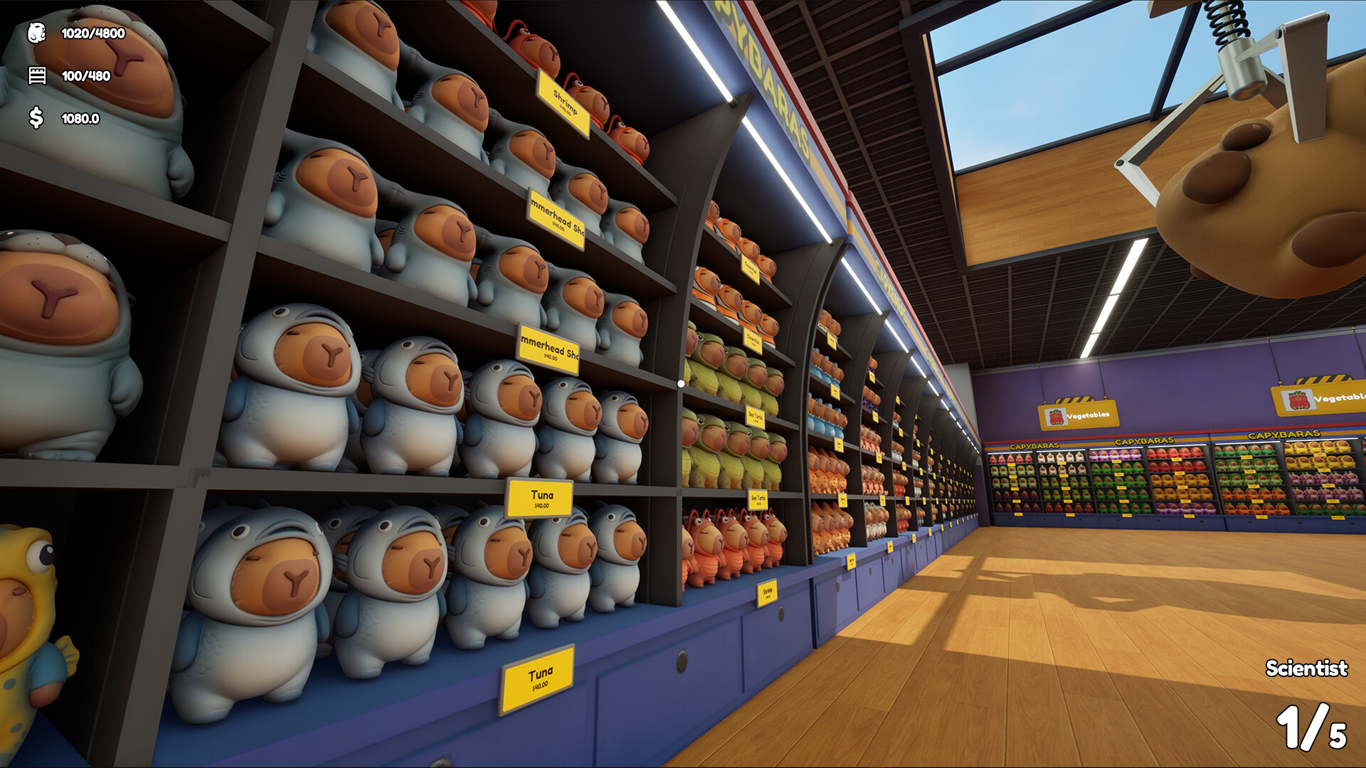 Sort The Capybaras screenshot 5
