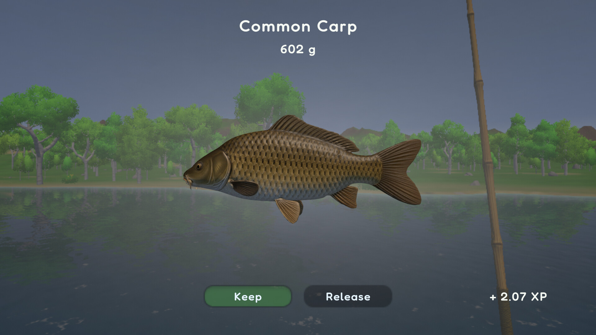 Fishing Spot screenshot 5