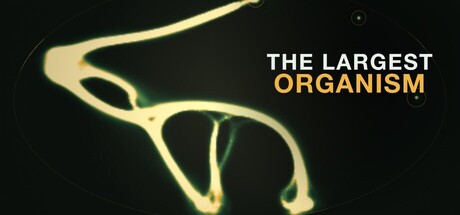 Cover art from The Largest Organism