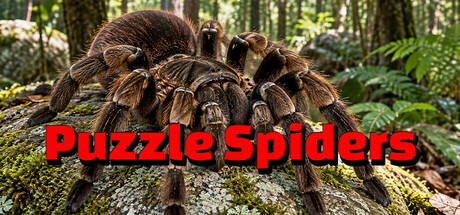 Cover art from Puzzle Spiders