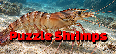 Cover art from Puzzle Shrimps