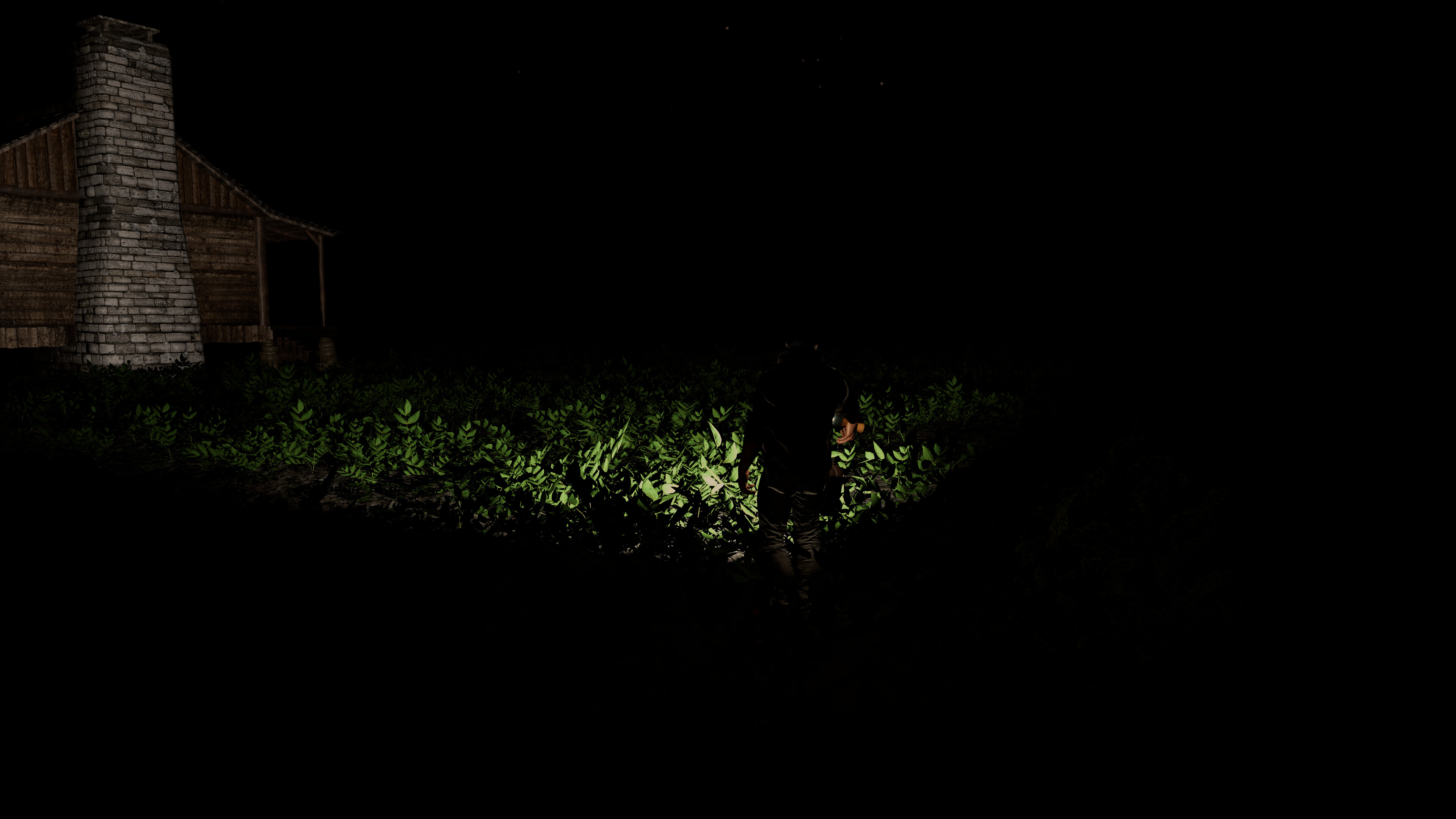 Casae In Silva screenshot 4