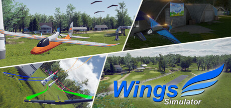Cover art from Wings Simulator