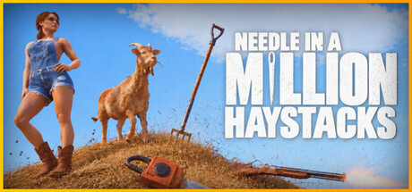 Cover art from Needle in a Million Haystacks