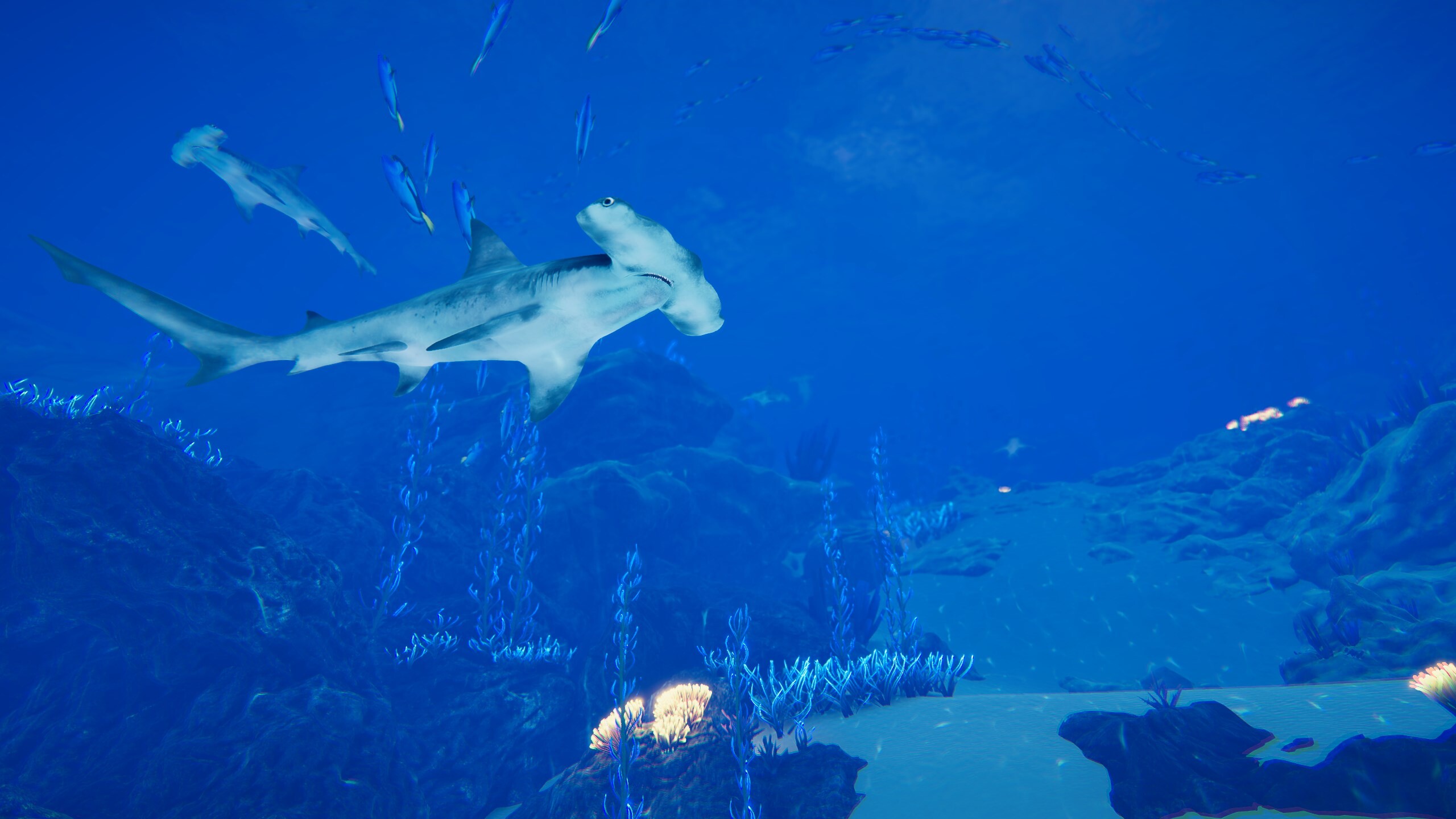 Ocean Fish screenshot 2