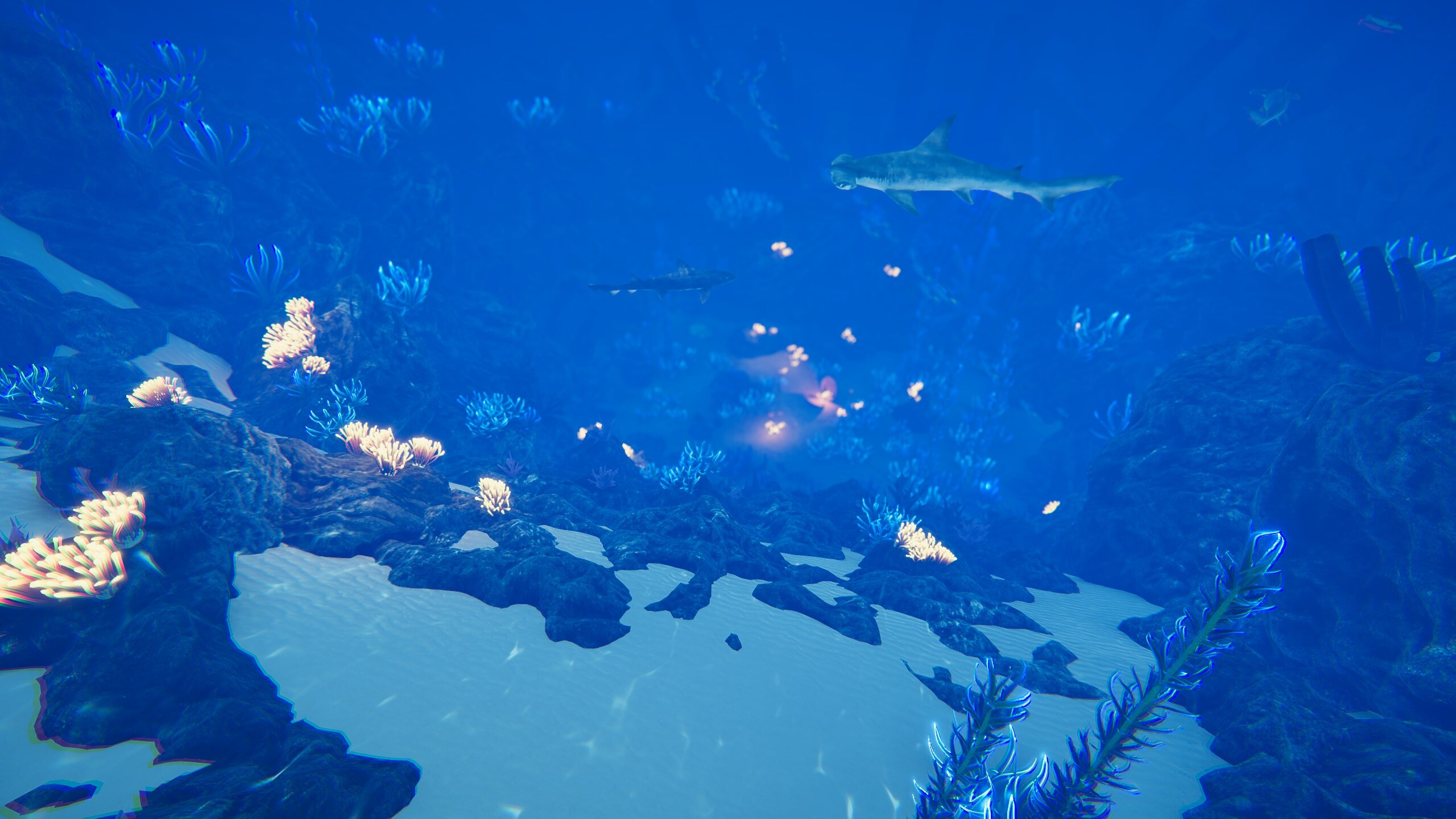 Ocean Fish screenshot 5
