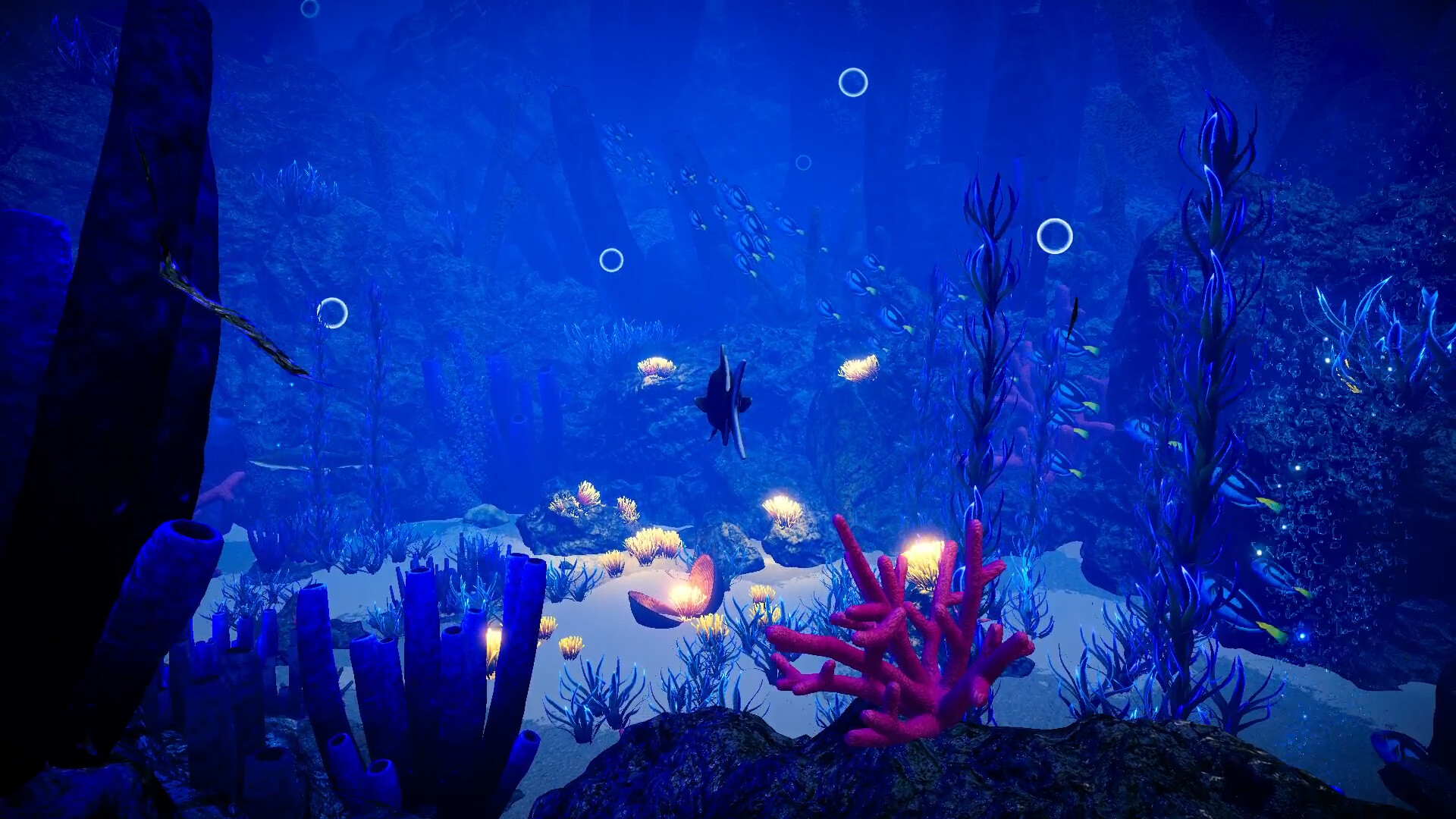 Ocean Fish trailer