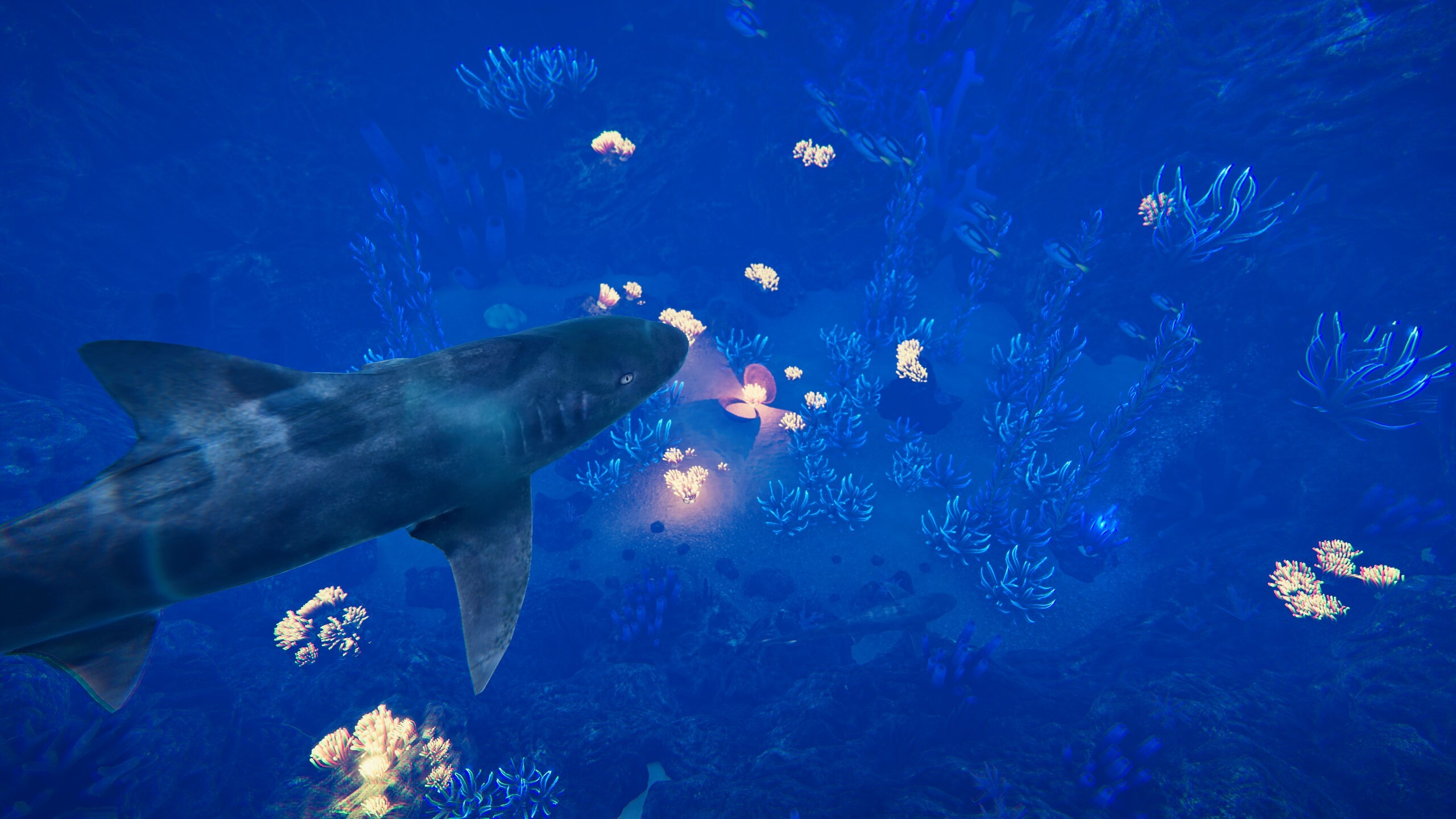 Ocean Fish screenshot 3