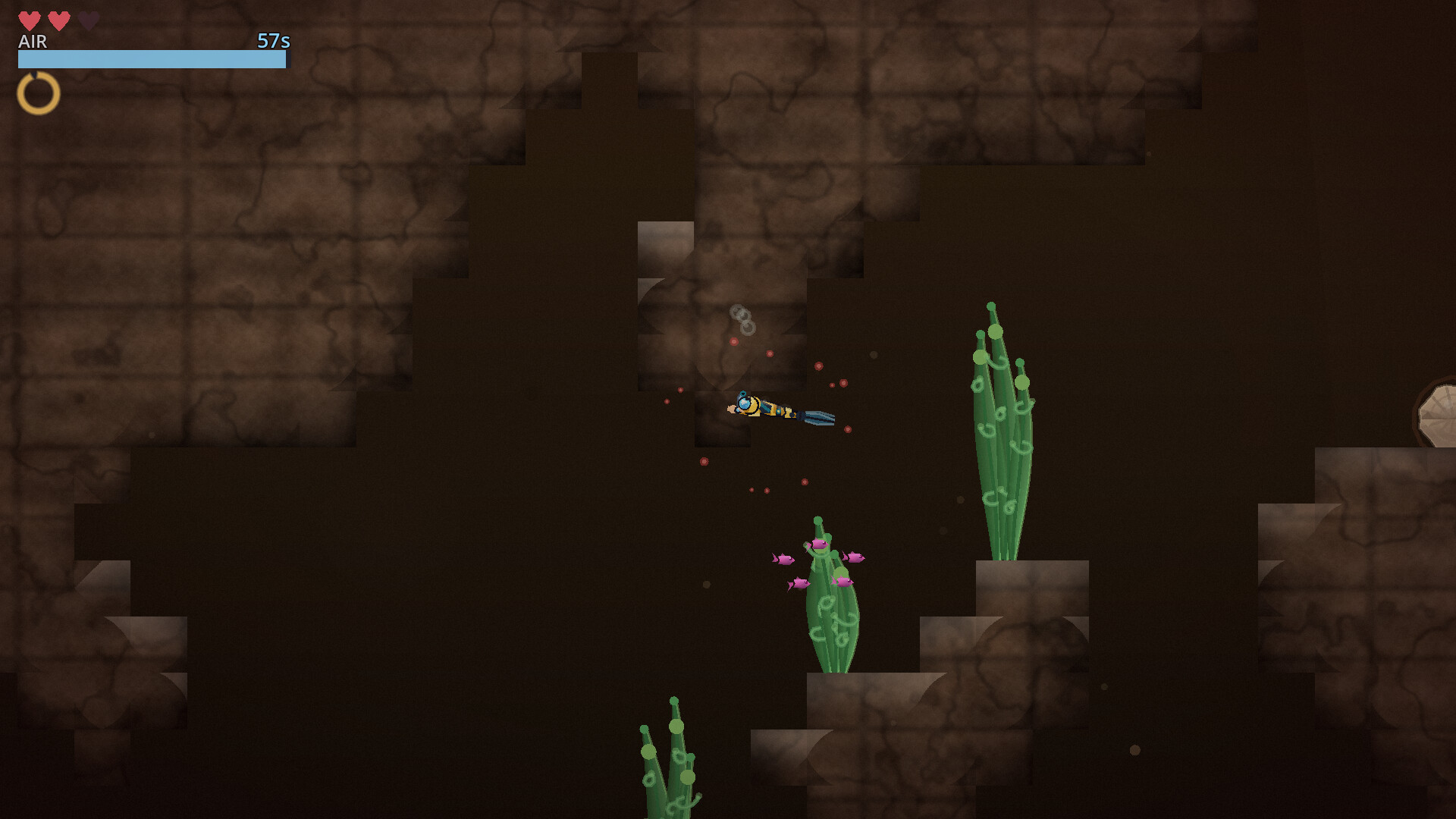 Kyle Coral screenshot 4