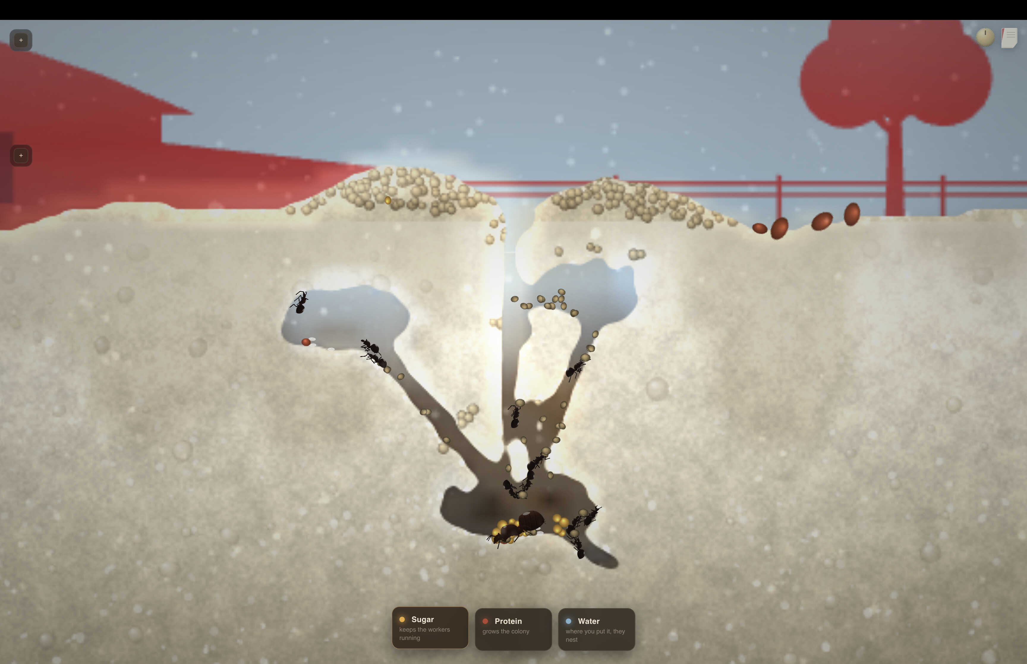 My First Ant Farm screenshot 5