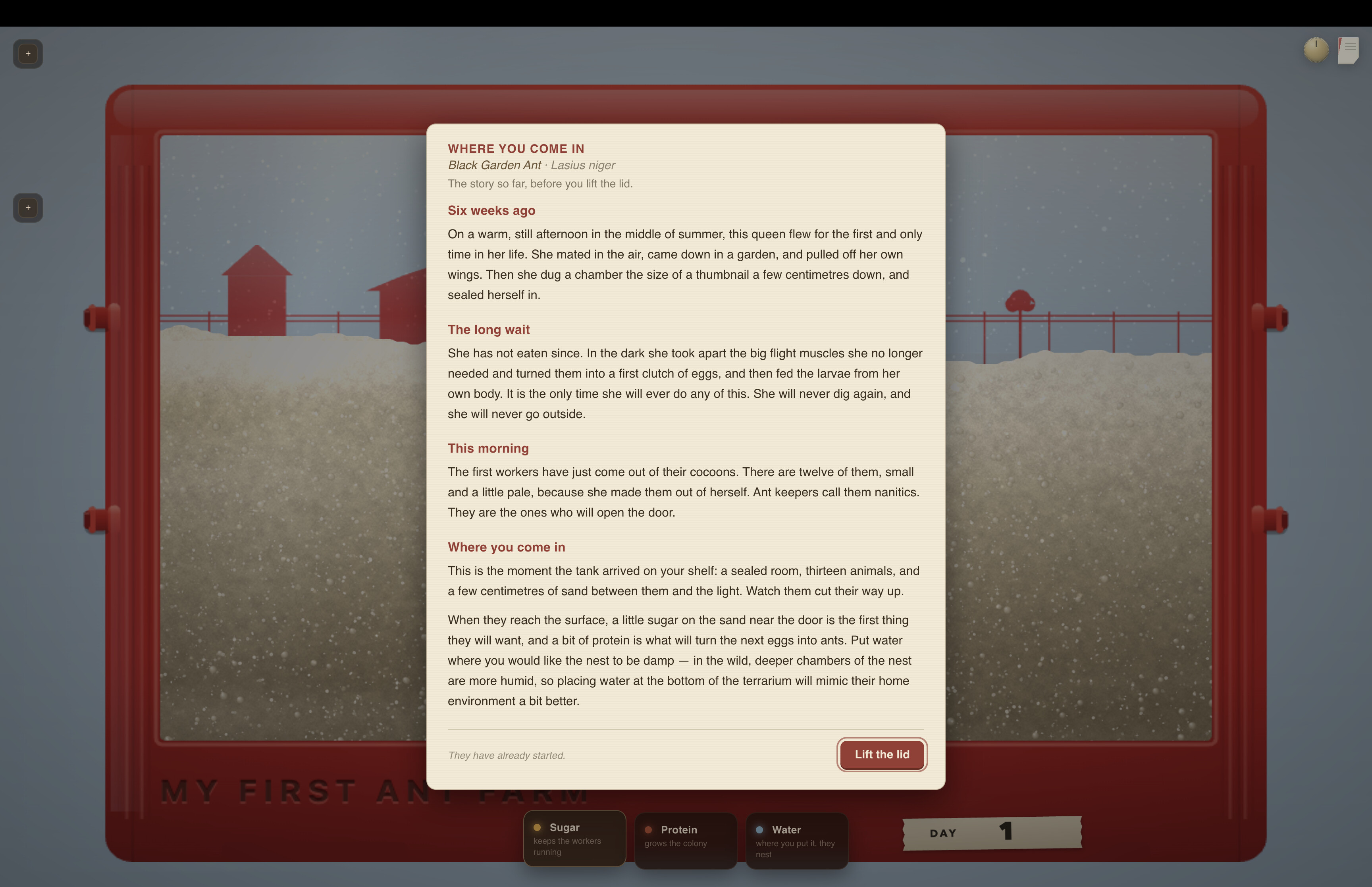 My First Ant Farm screenshot 2