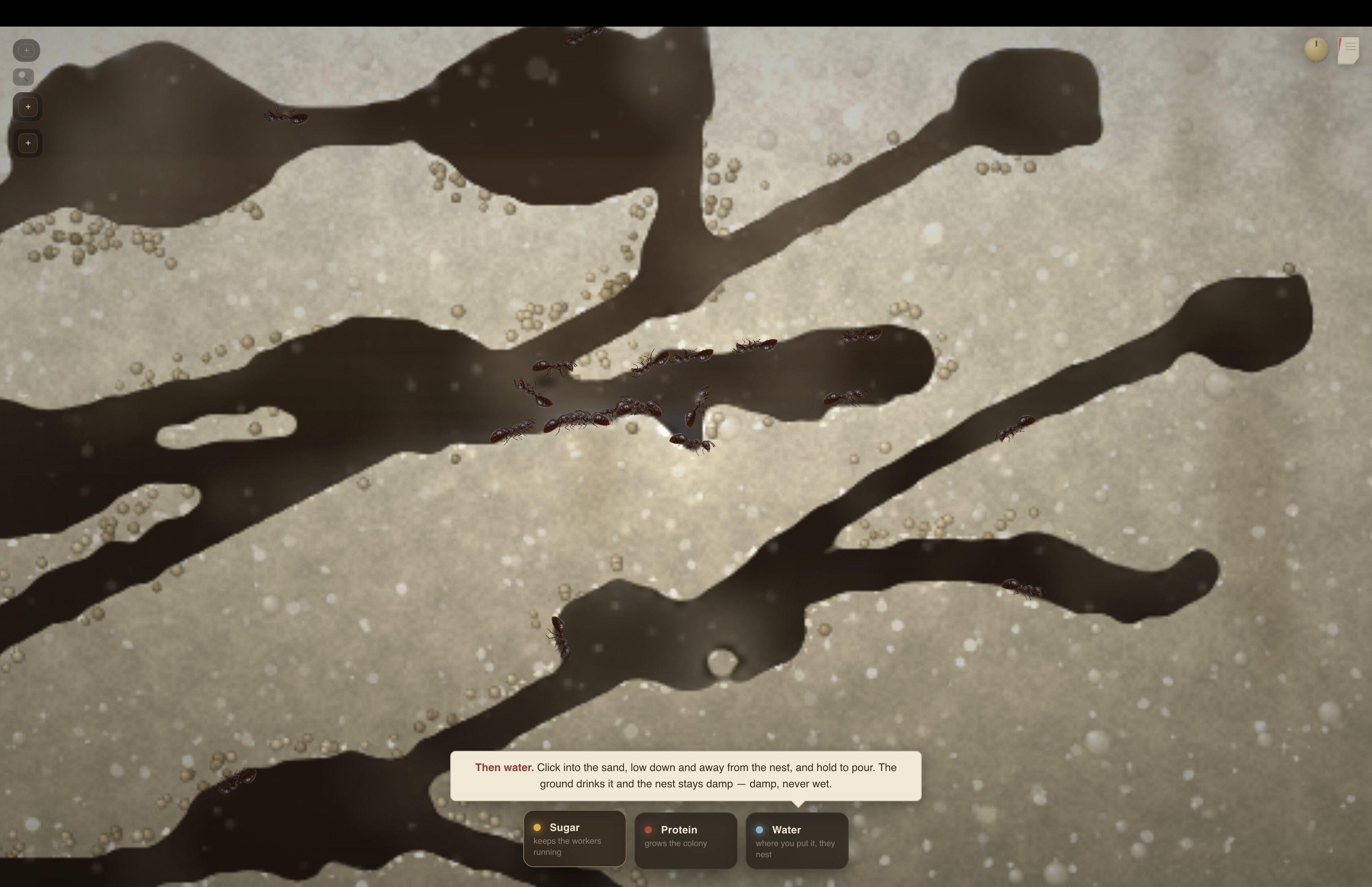 My First Ant Farm screenshot 3