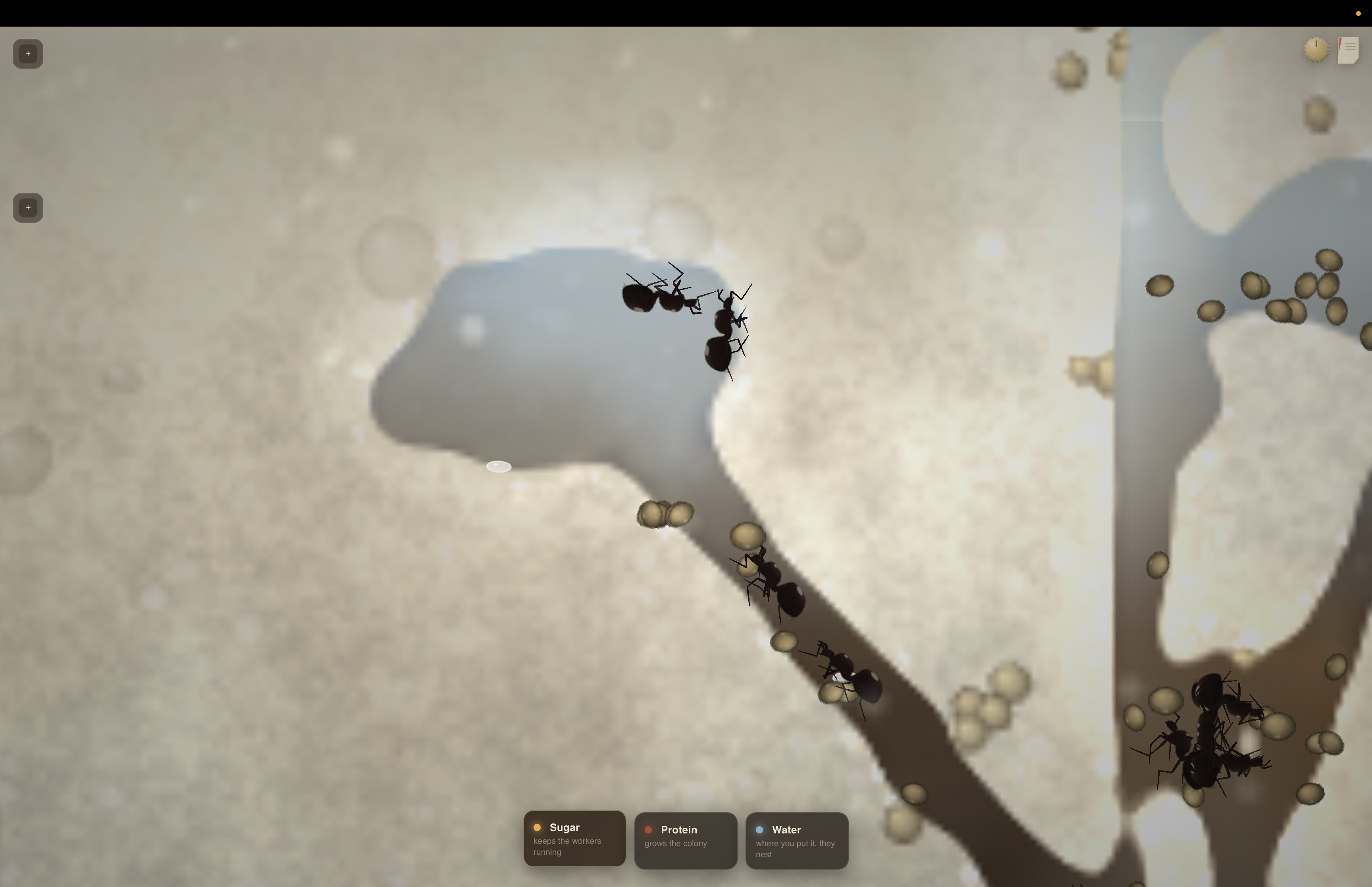 My First Ant Farm screenshot 4