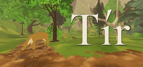Cover art from Tír