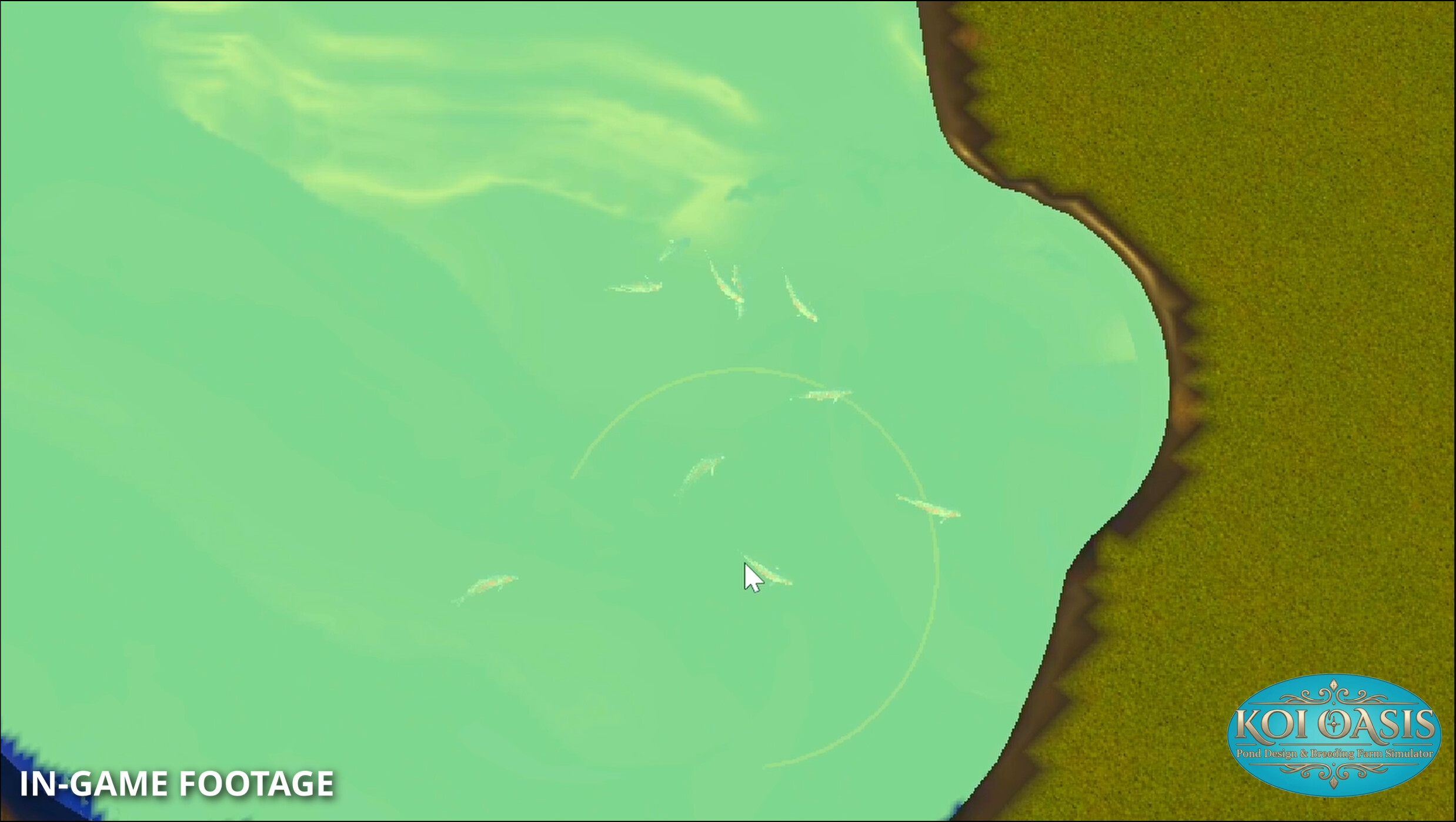 Koi Oasis screenshot 4