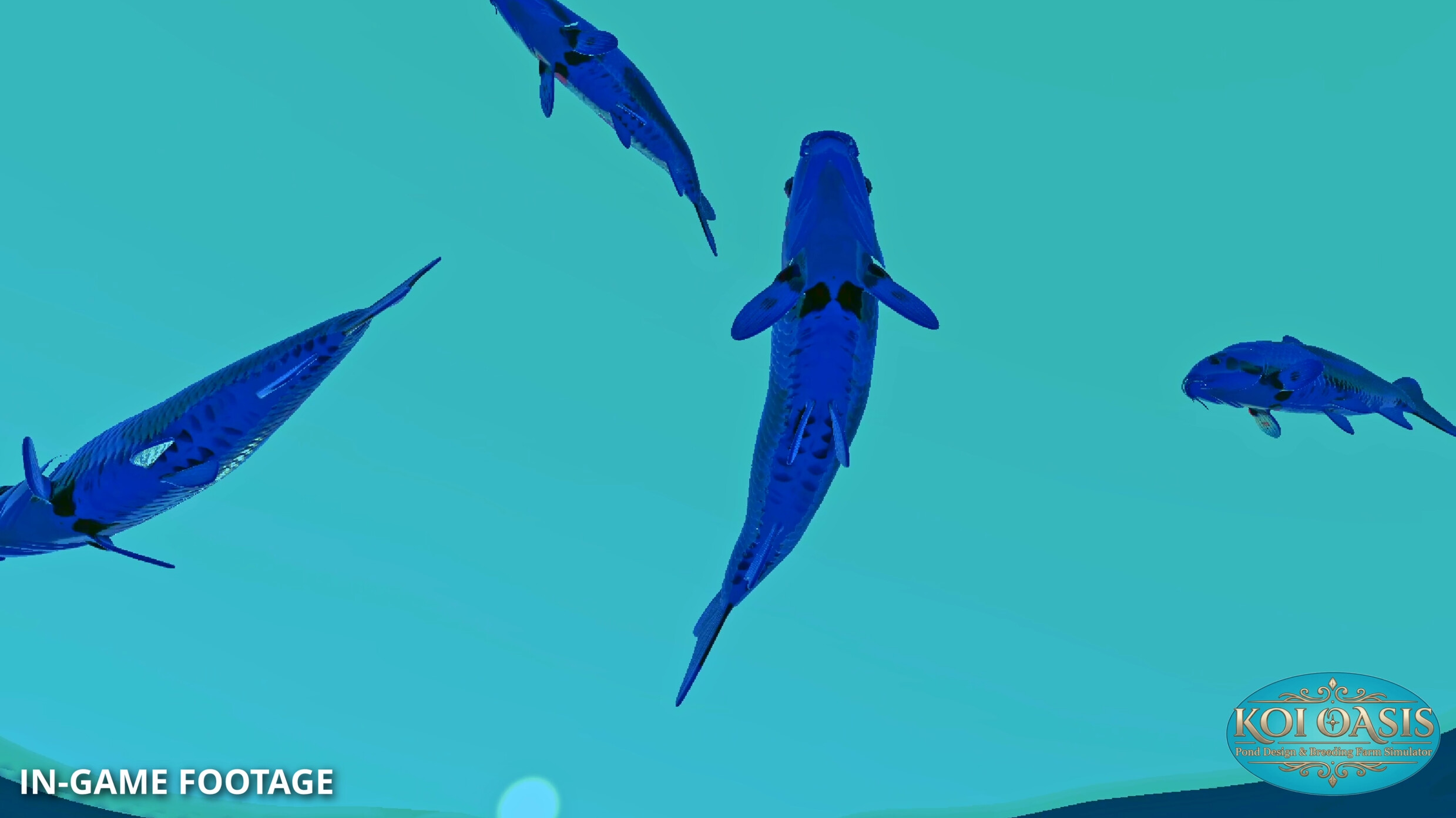 Koi Oasis screenshot 5