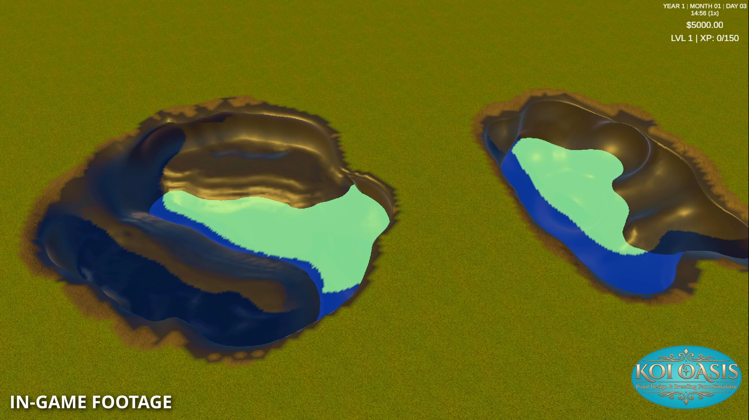 Koi Oasis screenshot 3