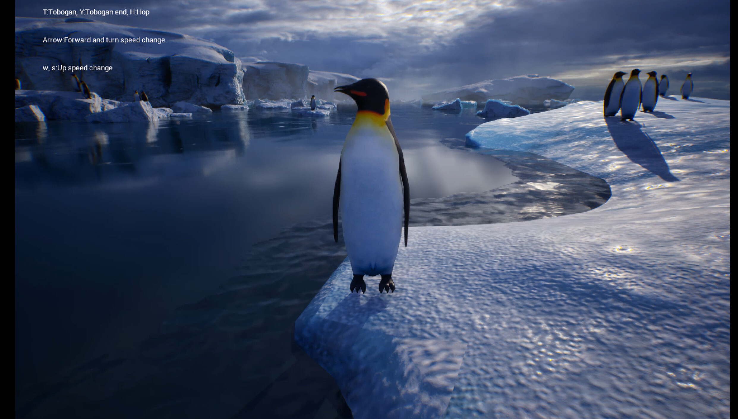 Life of a Penguin trailer