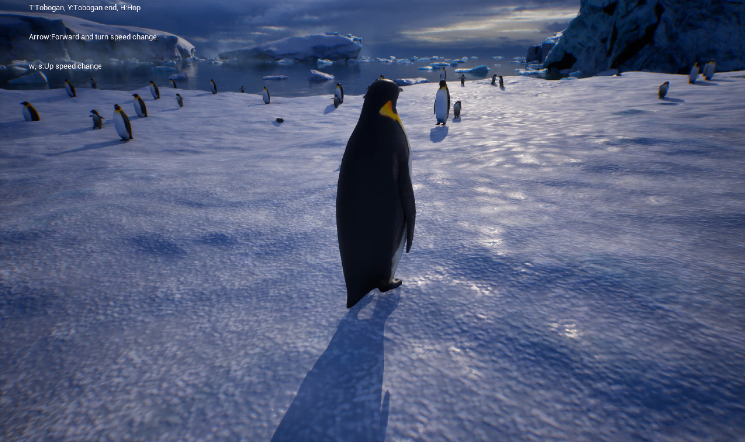 Life of a Penguin screenshot 4