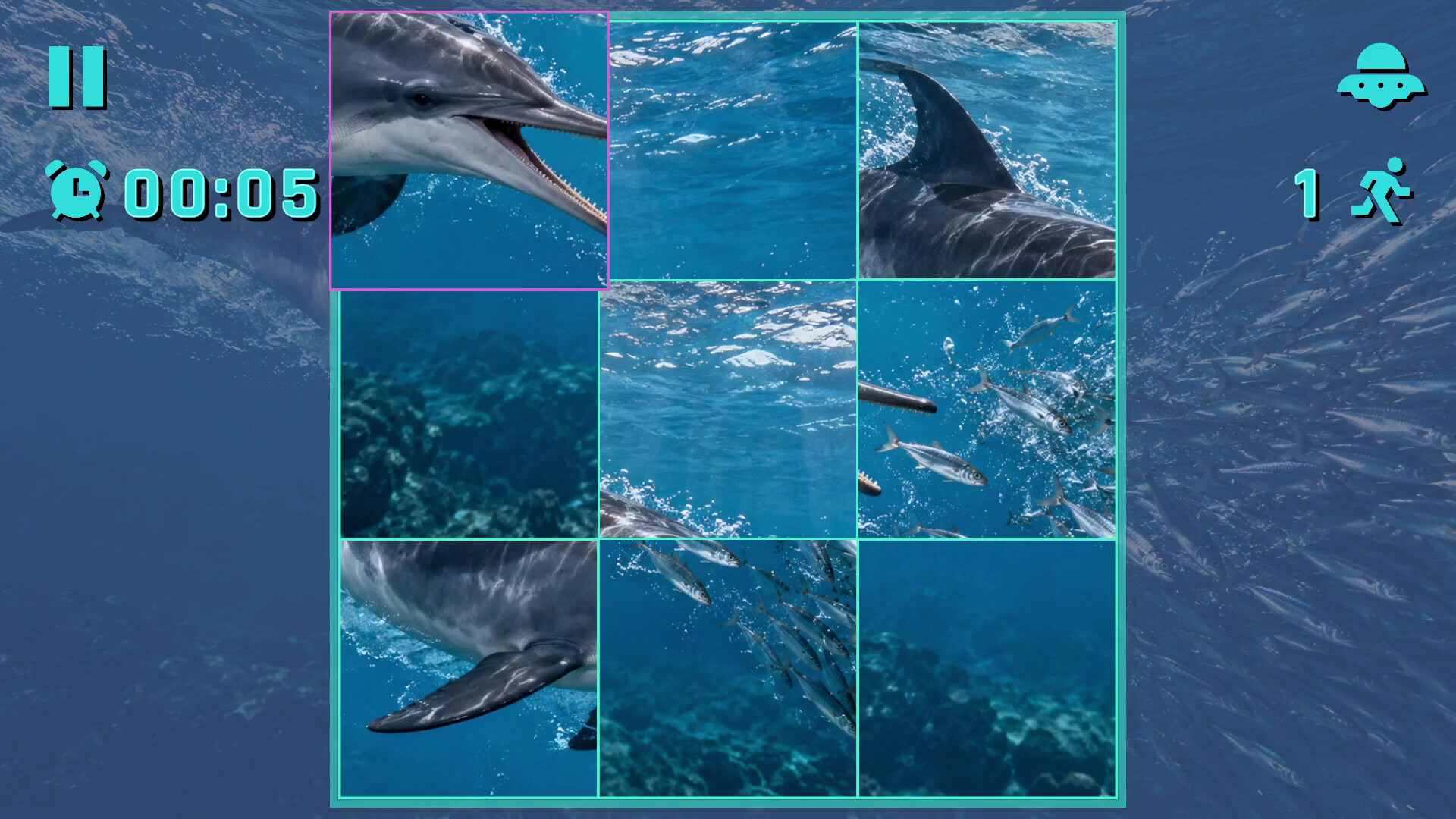 Puzzle Dolphins screenshot 3