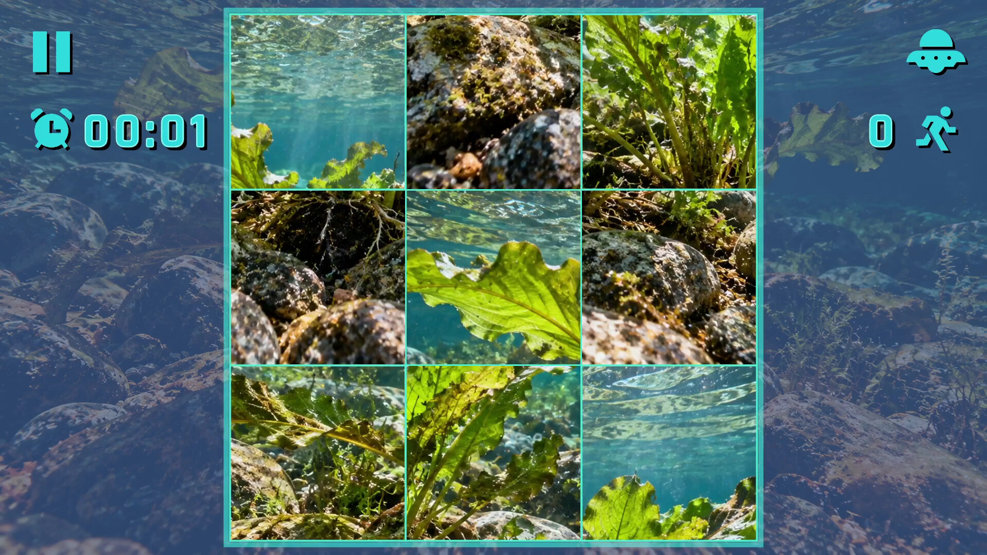 Puzzle Algae trailer