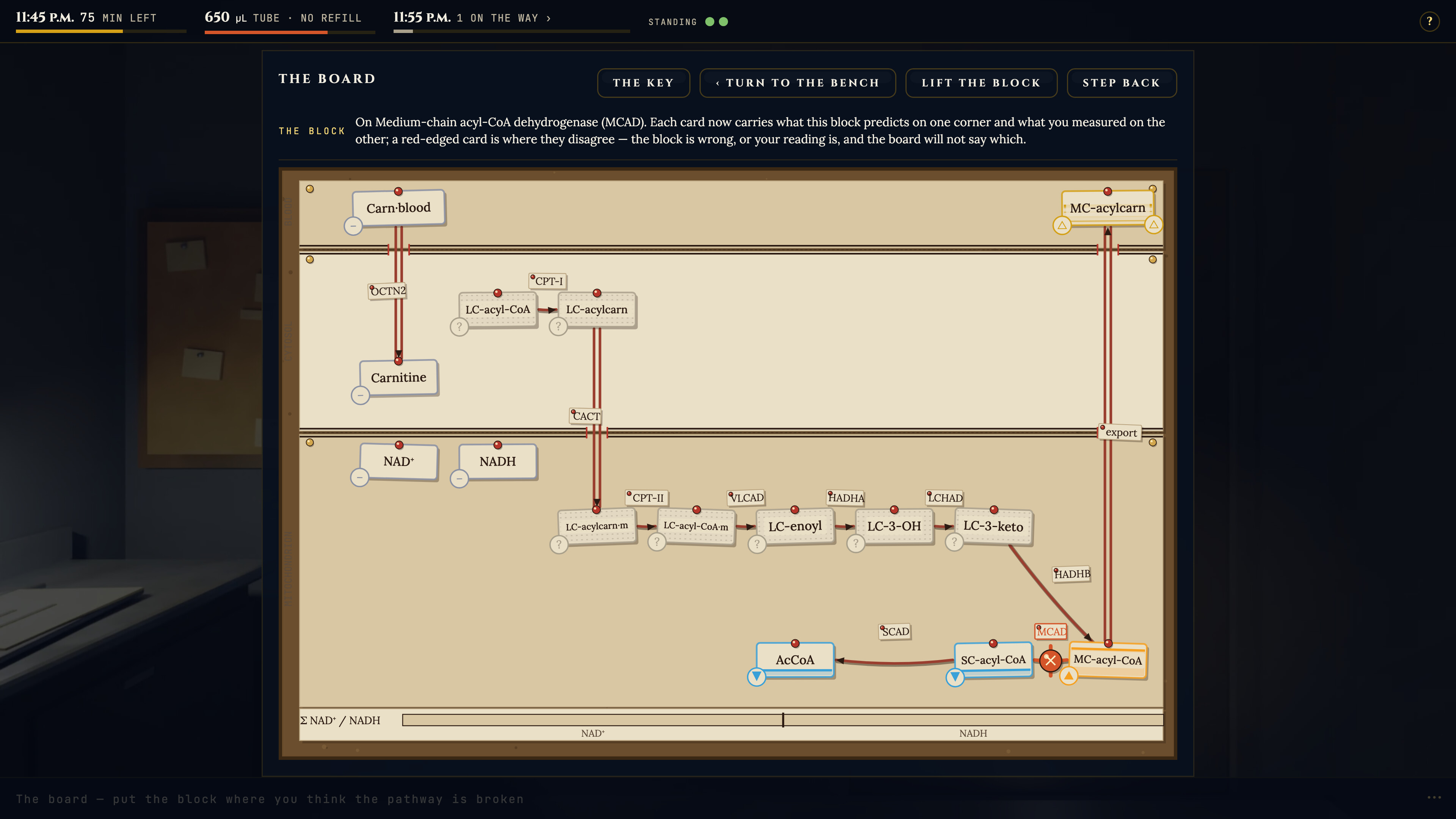 Total Biochem screenshot 2