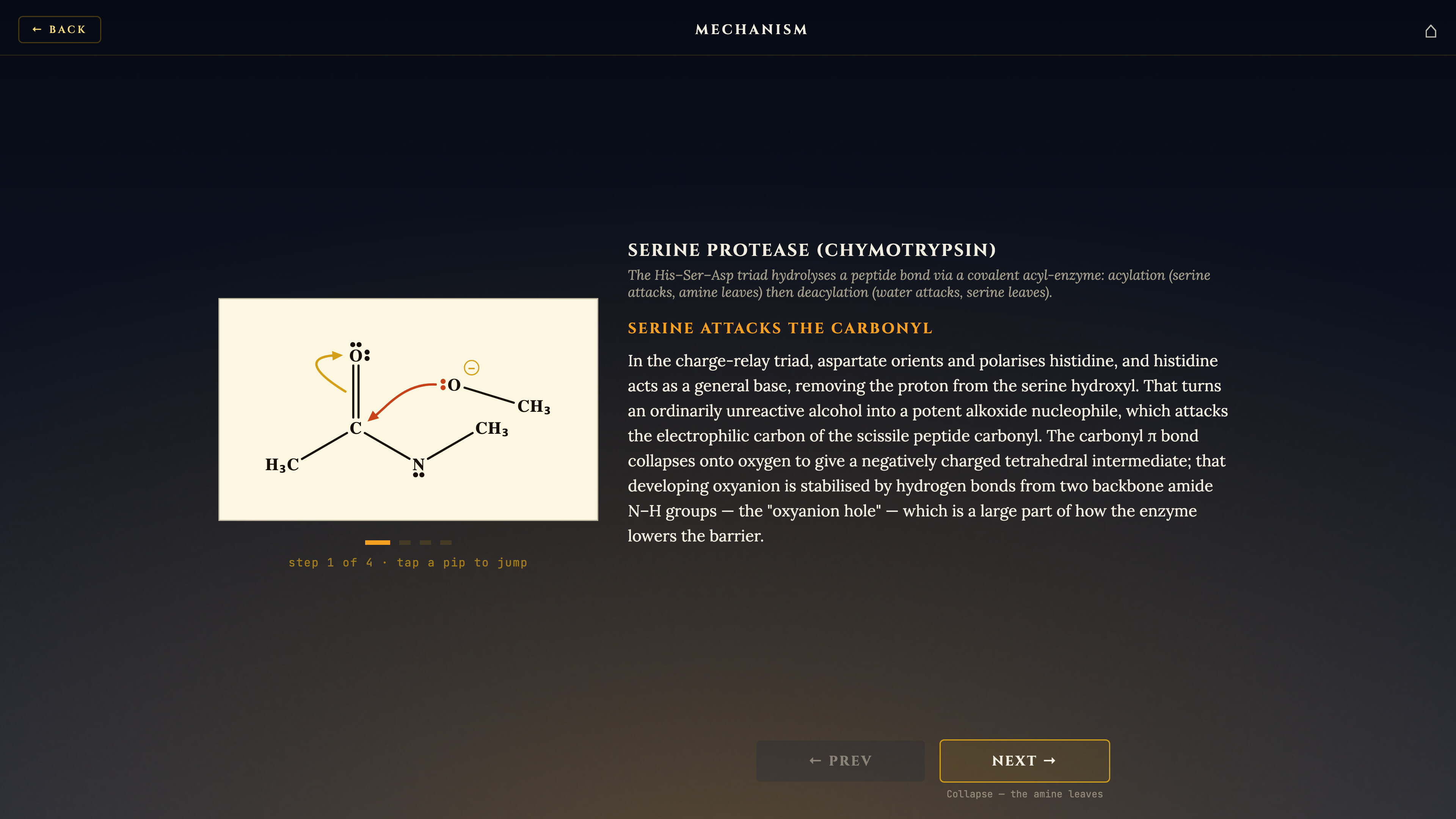 Total Biochem screenshot 5