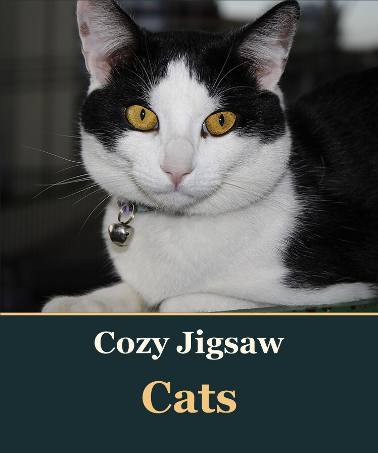 Cozy Jigsaw - Cats