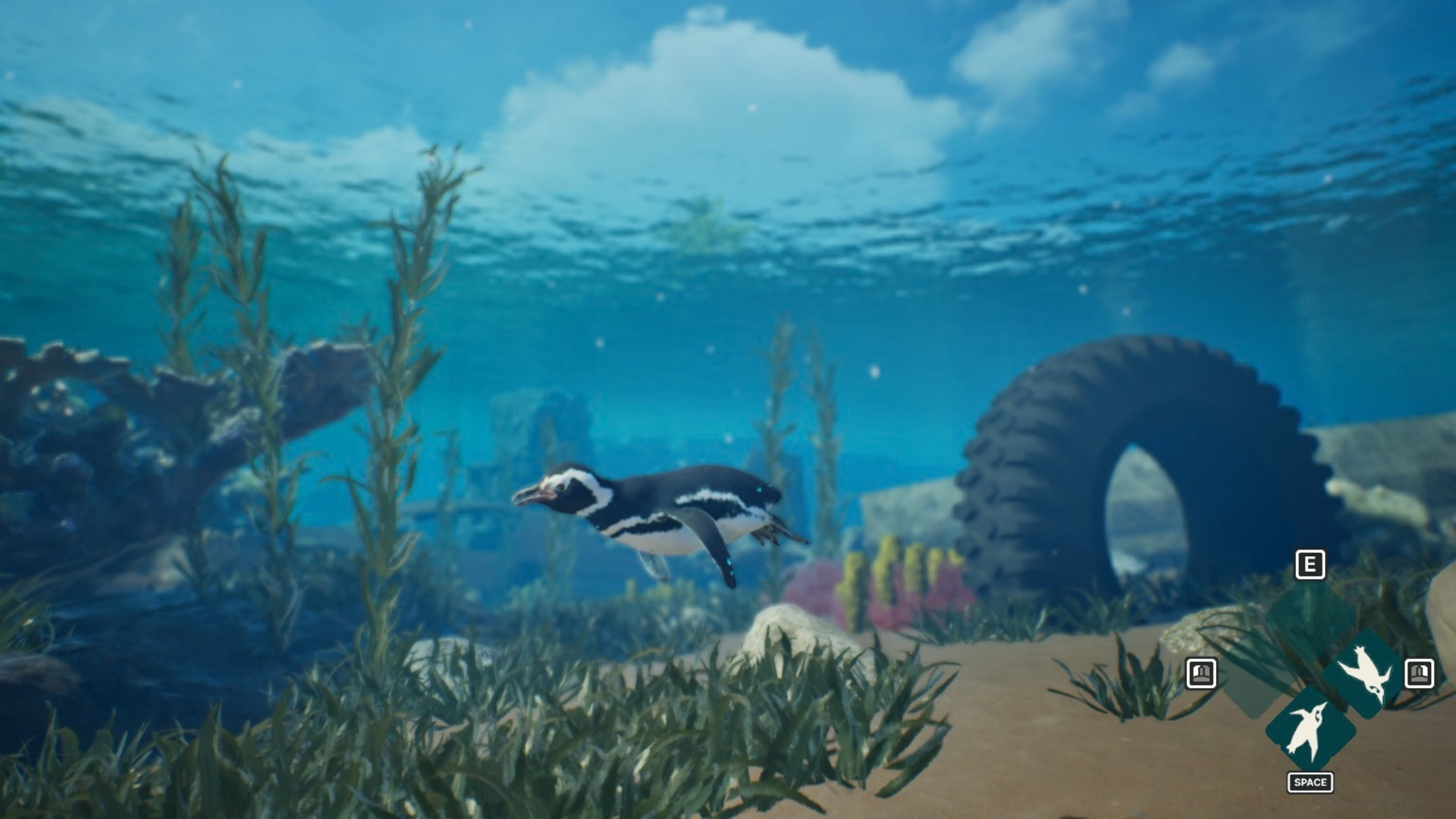 My Penguin Friend trailer