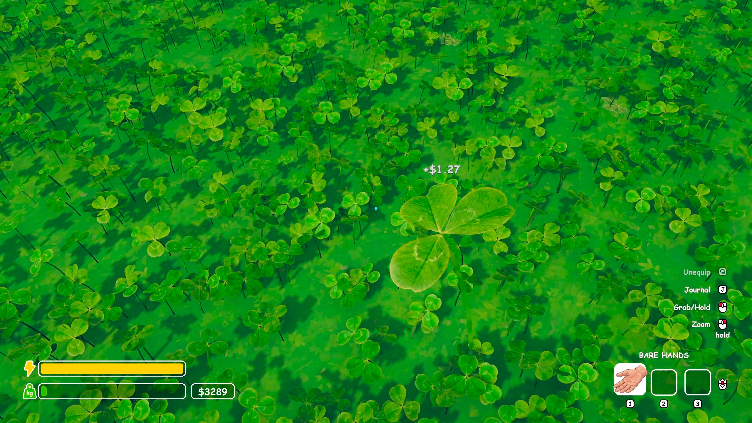 Lucky Clover: 1 in 500,000 screenshot 5