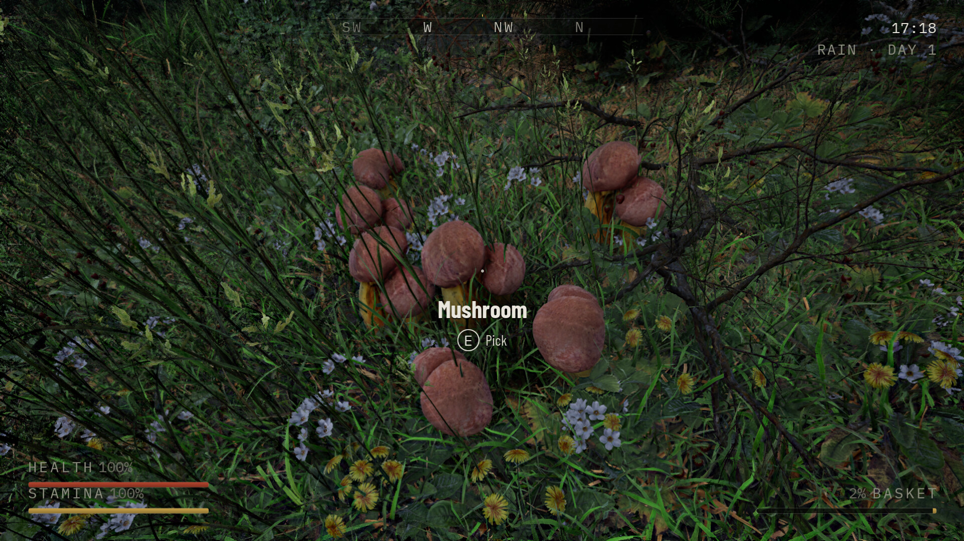 Holy Shroom! trailer